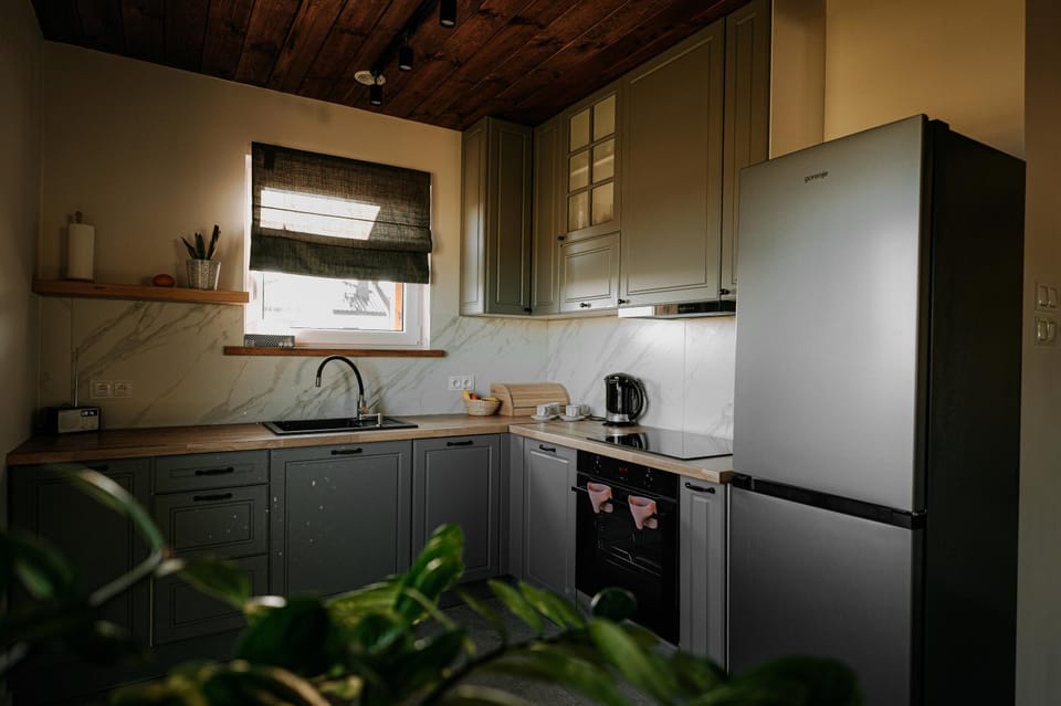 Kitchen or kitchenette, dishwasher, stove