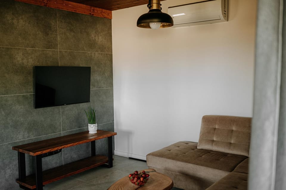 TV and multimedia, Living room, Seating area, air conditioner
