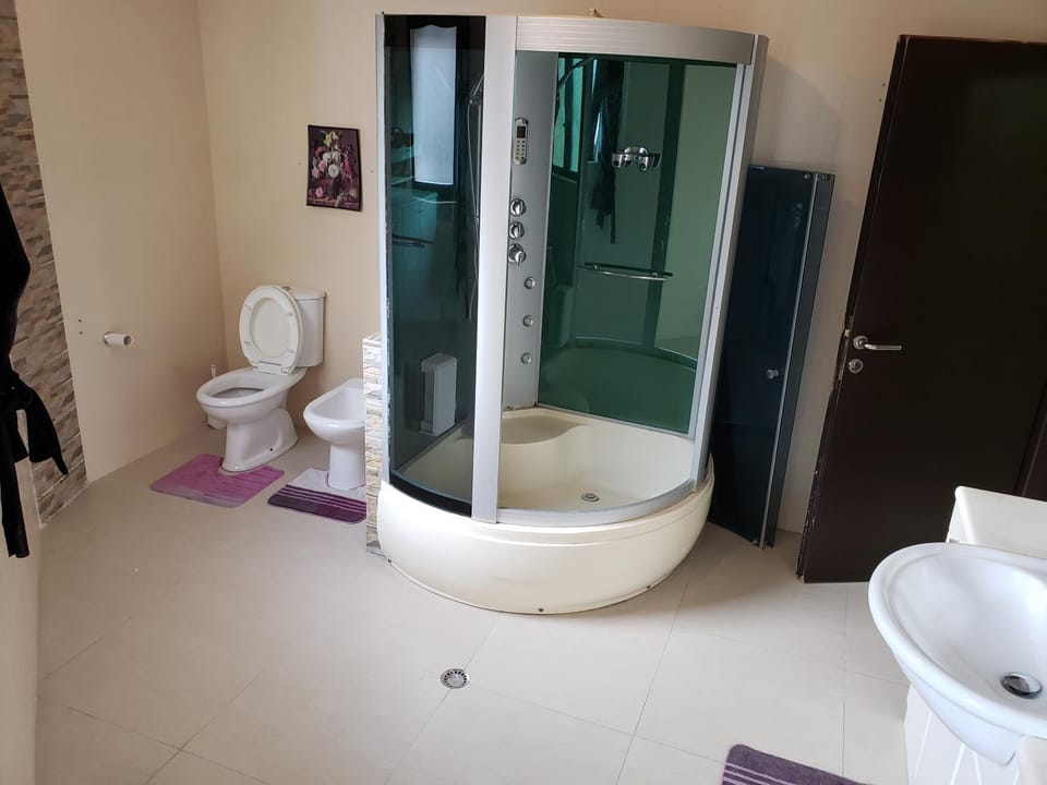 Shower, Toilet, Bathroom, bidet, towels