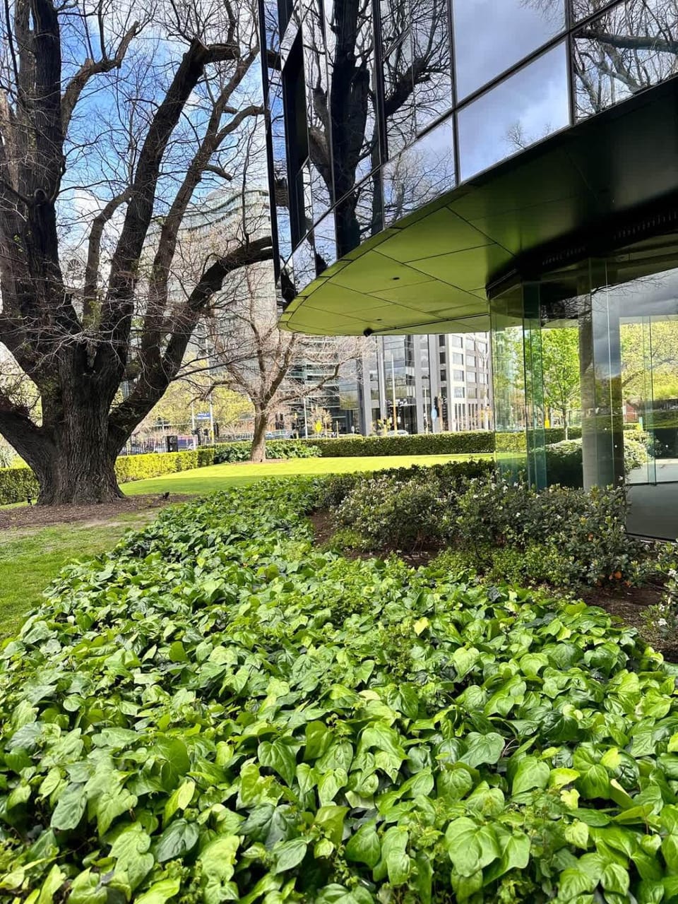 Spring, Garden, Garden view