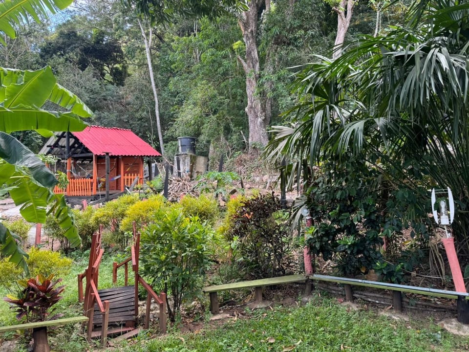 Garden view