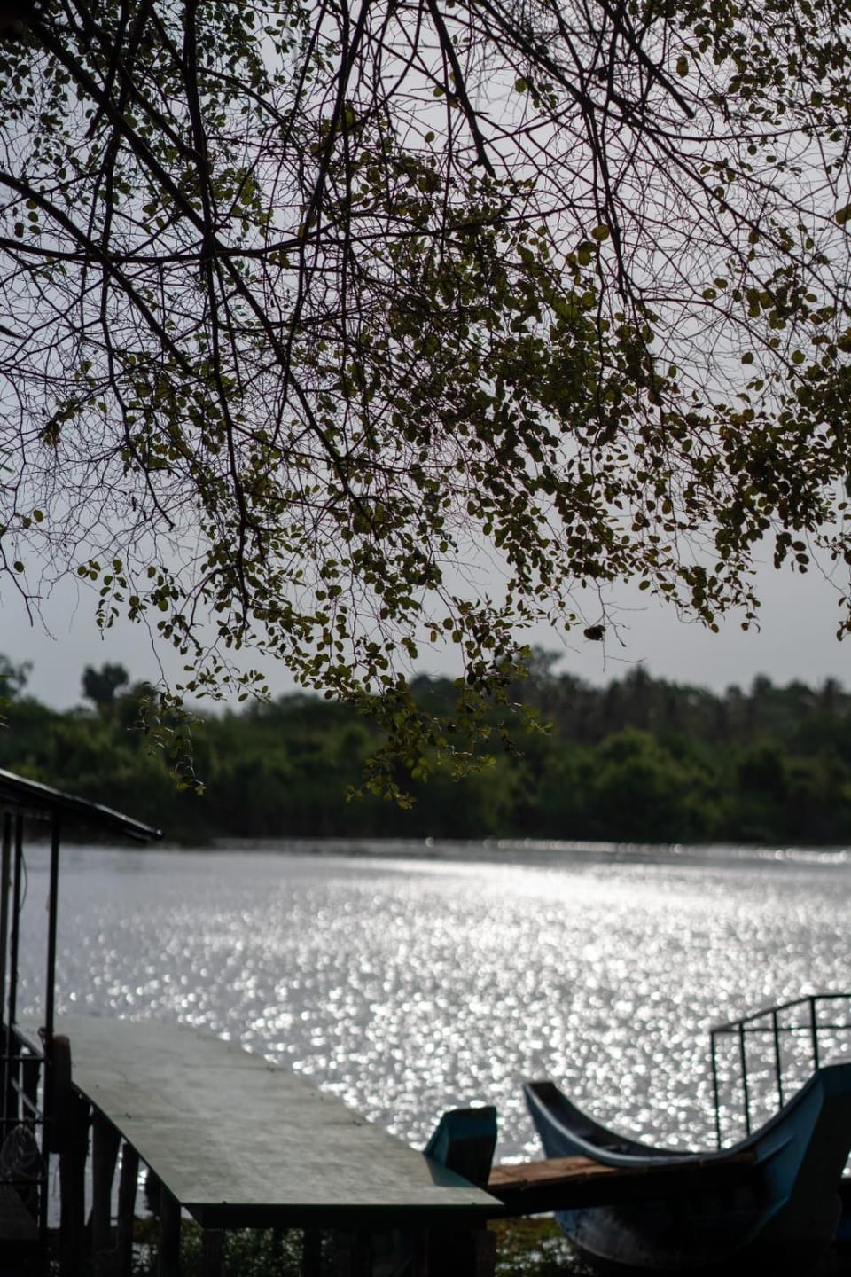 Day, Natural landscape, Lake view, River view