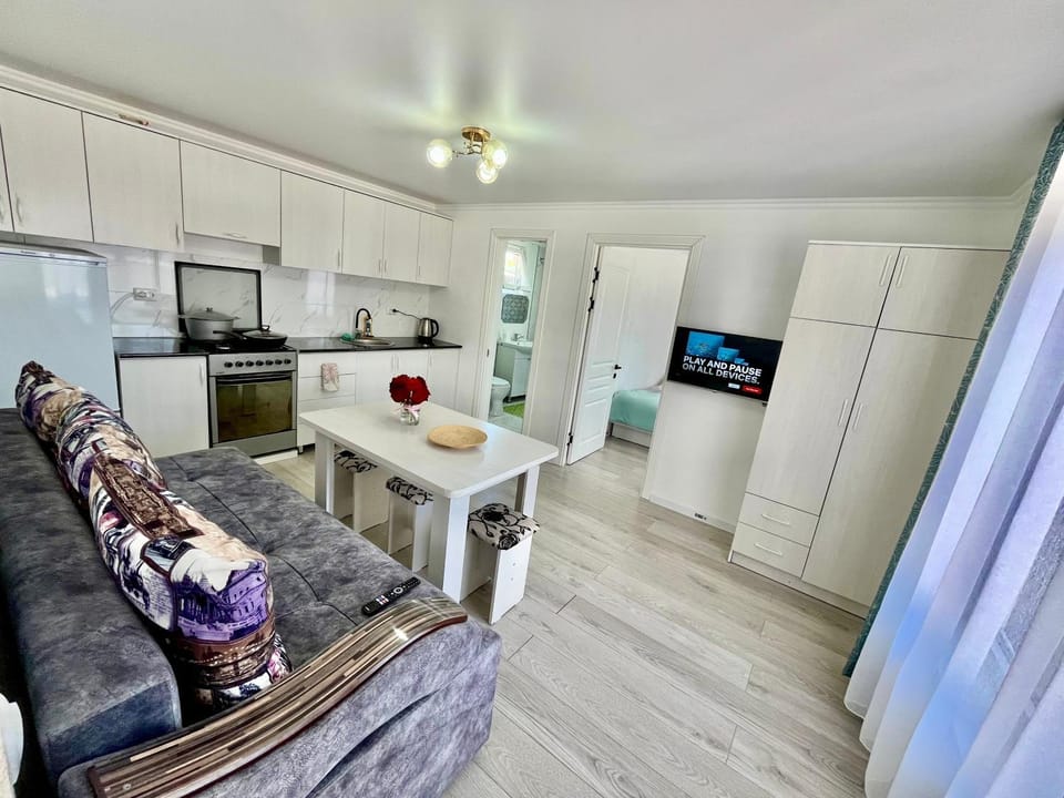 Communal lounge/ TV room, TV and multimedia, Kitchen or kitchenette, Living room, Seating area, Dining area, oven, stove, kitchen, kitchen