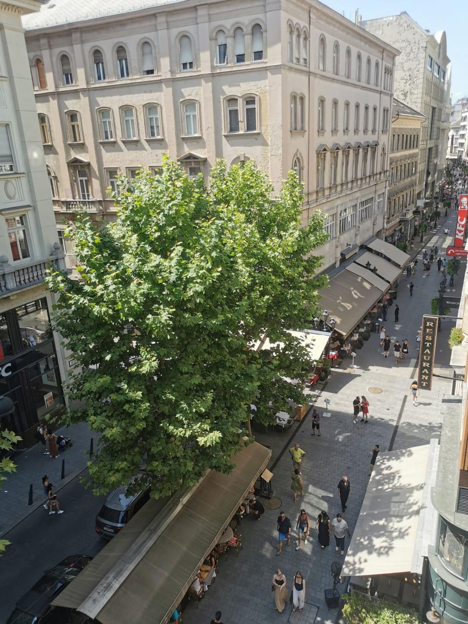 View (from property/room)