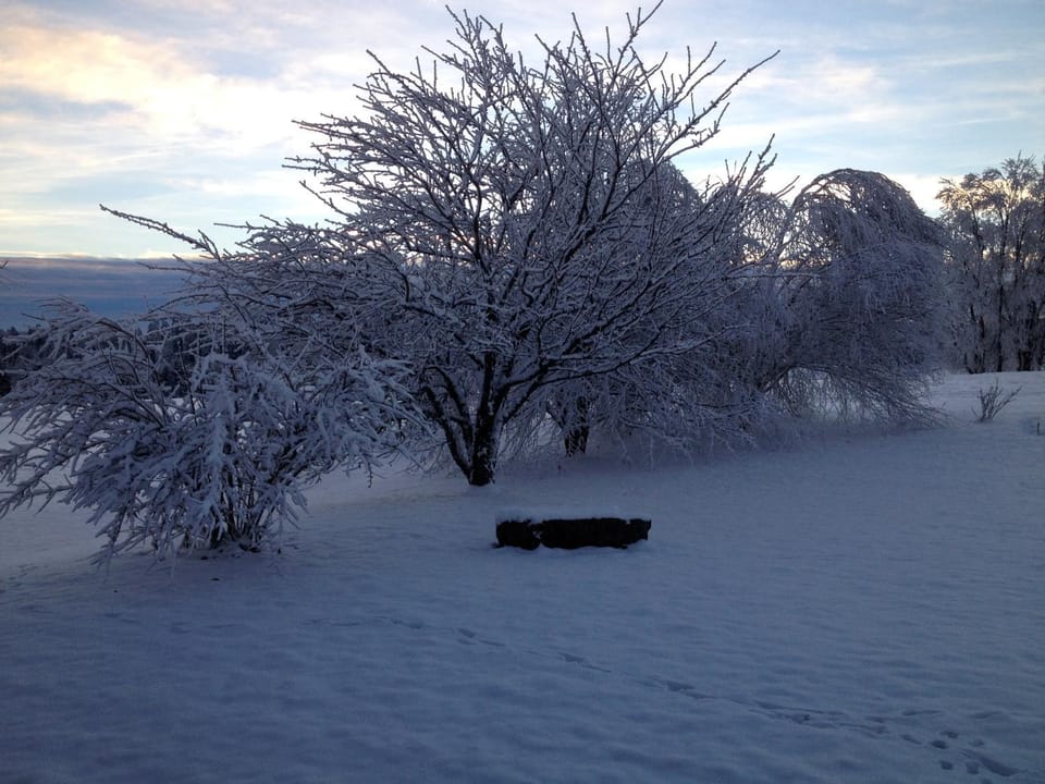 Natural landscape, Winter
