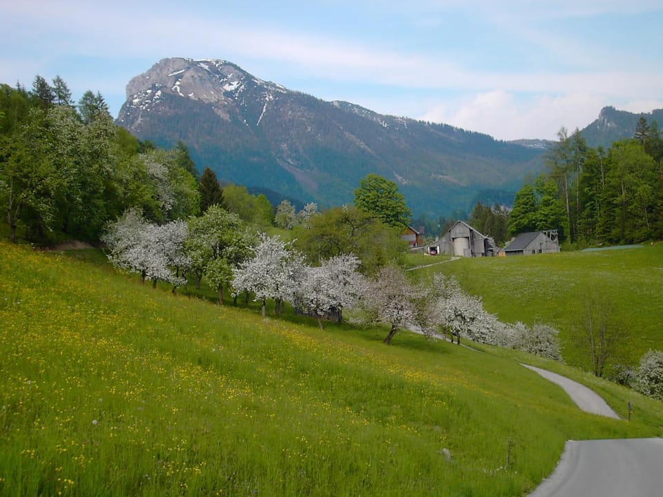 Natural landscape, On site