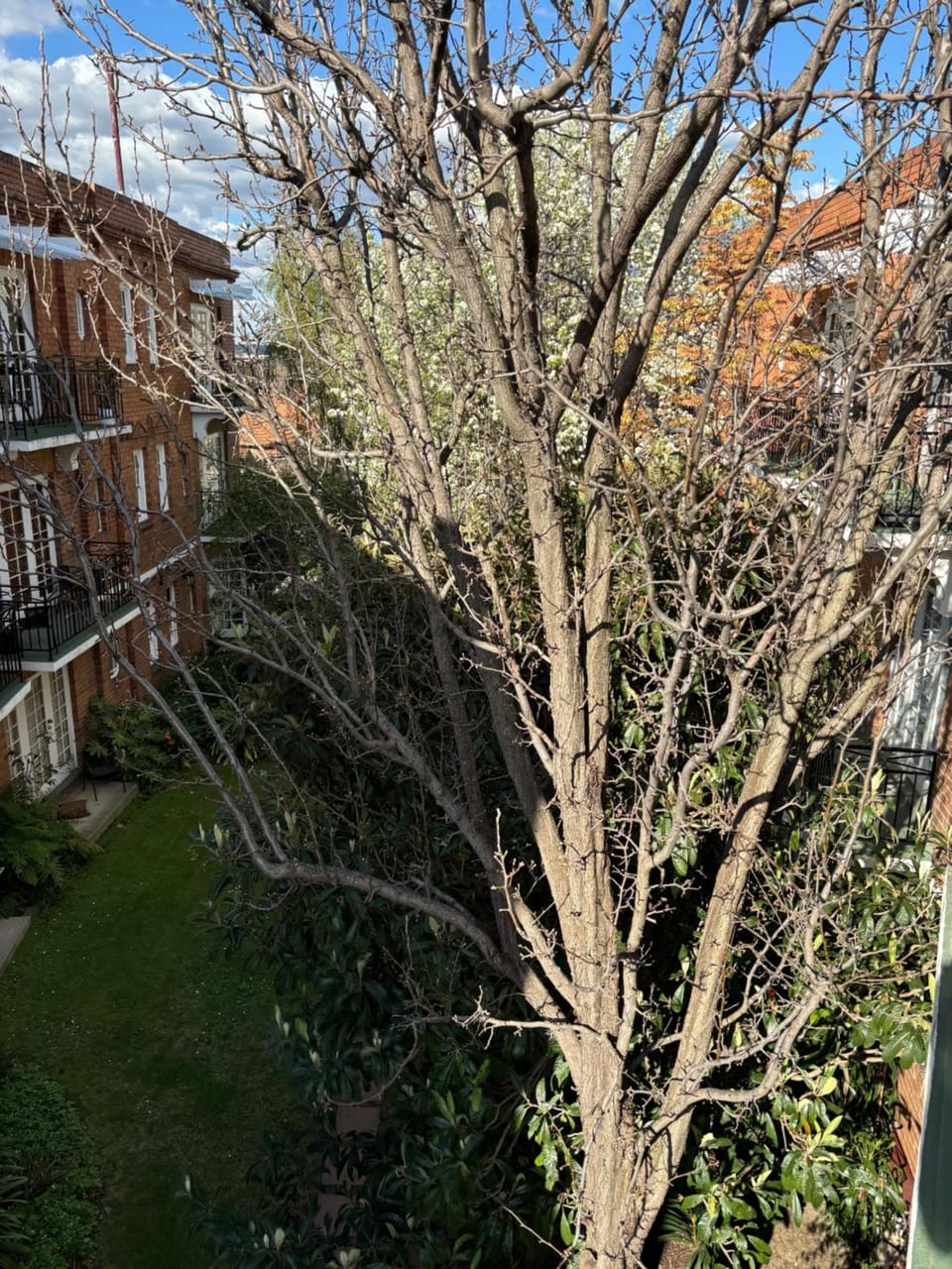 View (from property/room)