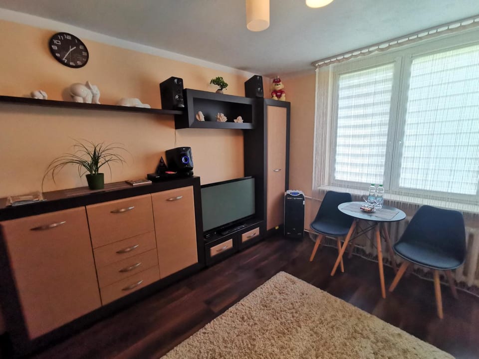 Aparatament PUŁAWY Centrum Apartment in Masovian Voivodeship