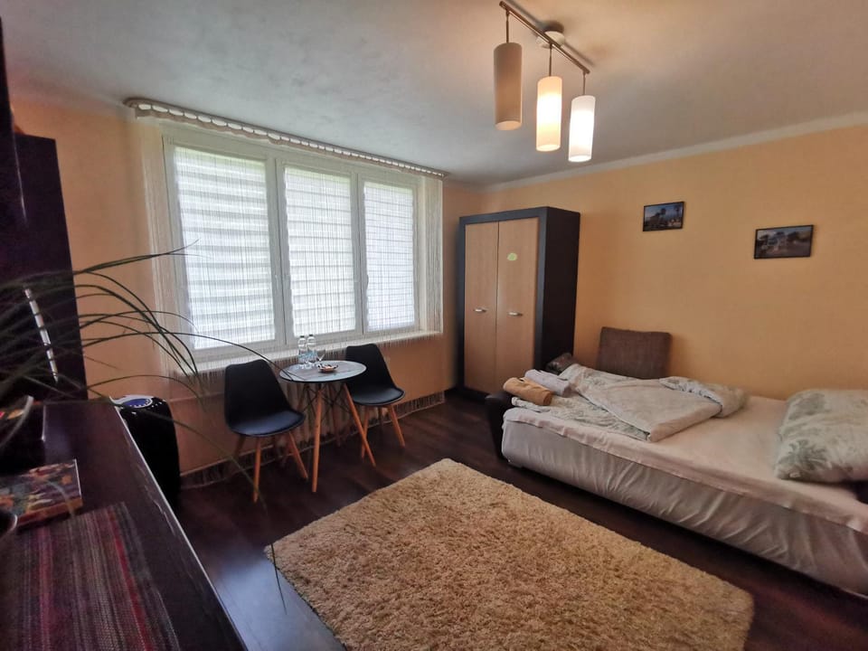 Aparatament PUŁAWY Centrum Apartment in Masovian Voivodeship