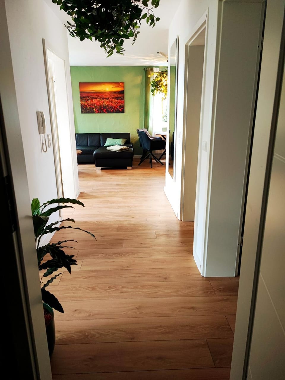 Photo of the whole room