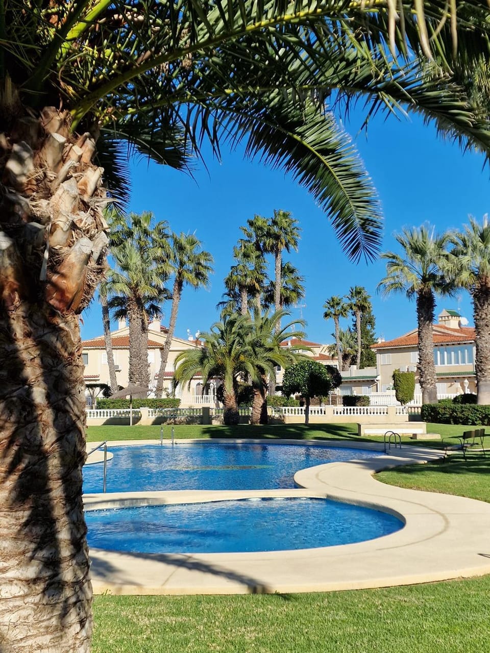 Garden, Swimming pool