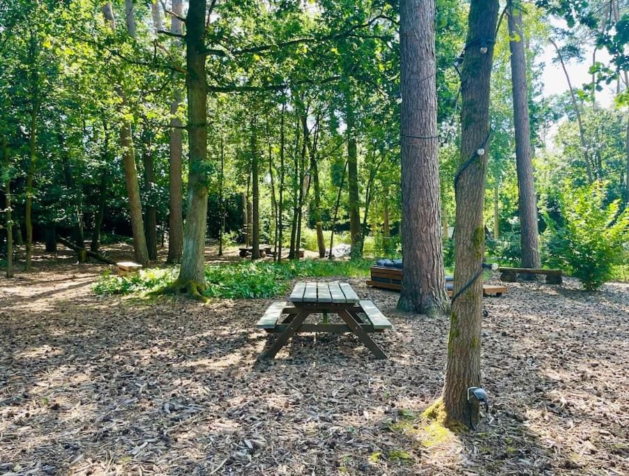 Spring, Day, Natural landscape, Garden, Garden view