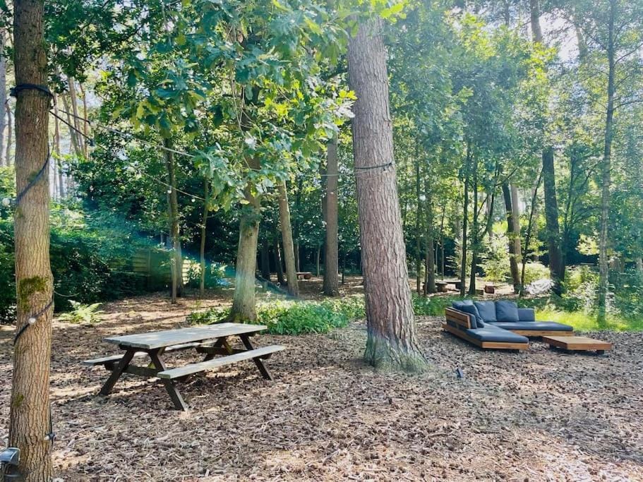 Spring, Day, Natural landscape, Garden, Seating area, Garden view