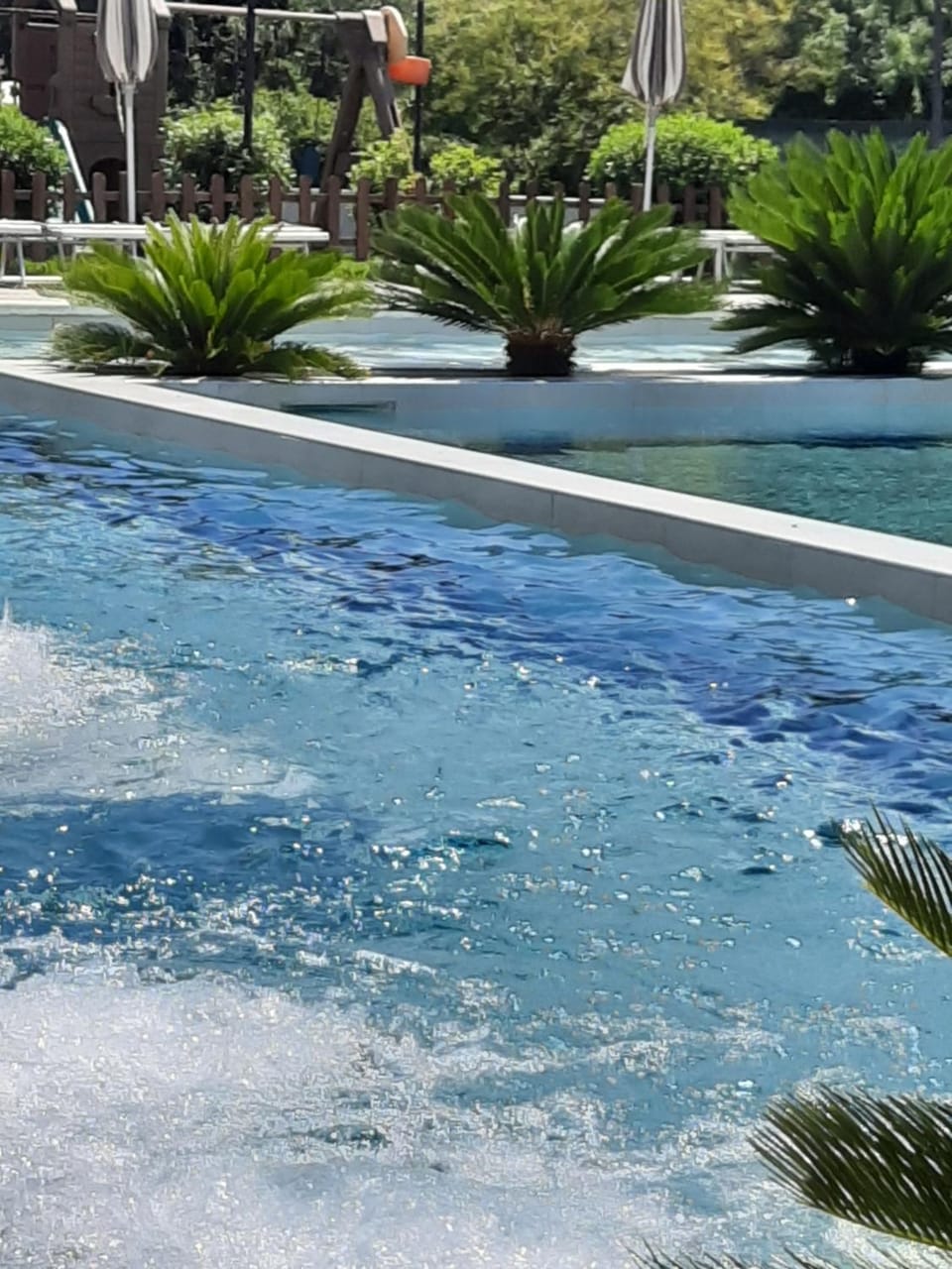Swimming pool, Swimming pool