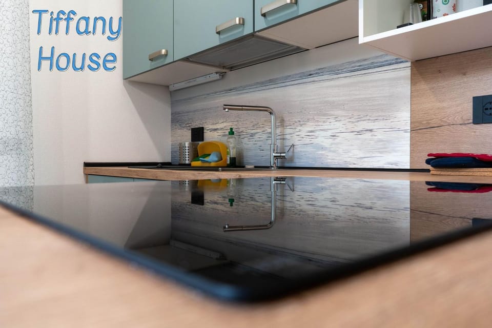 Kitchen or kitchenette, dishwasher, oven, stove