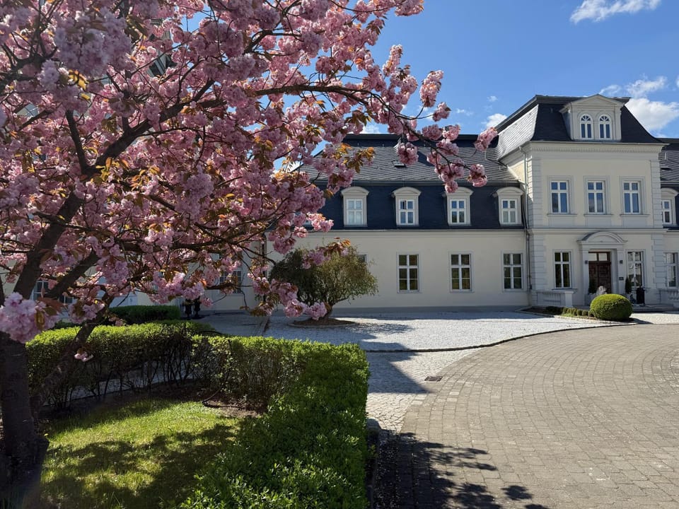Property building, Spring, Garden