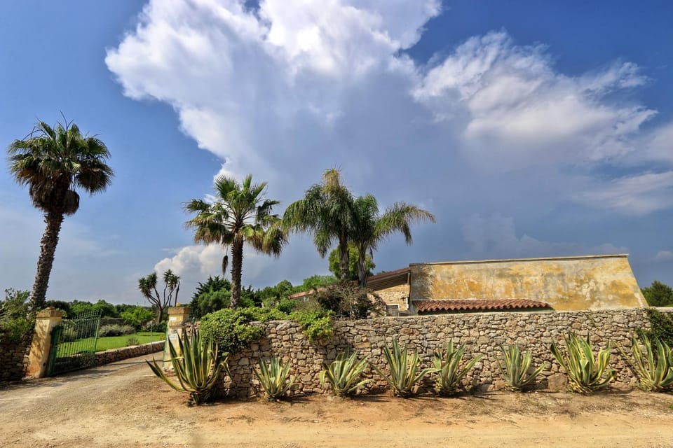 Natural landscape