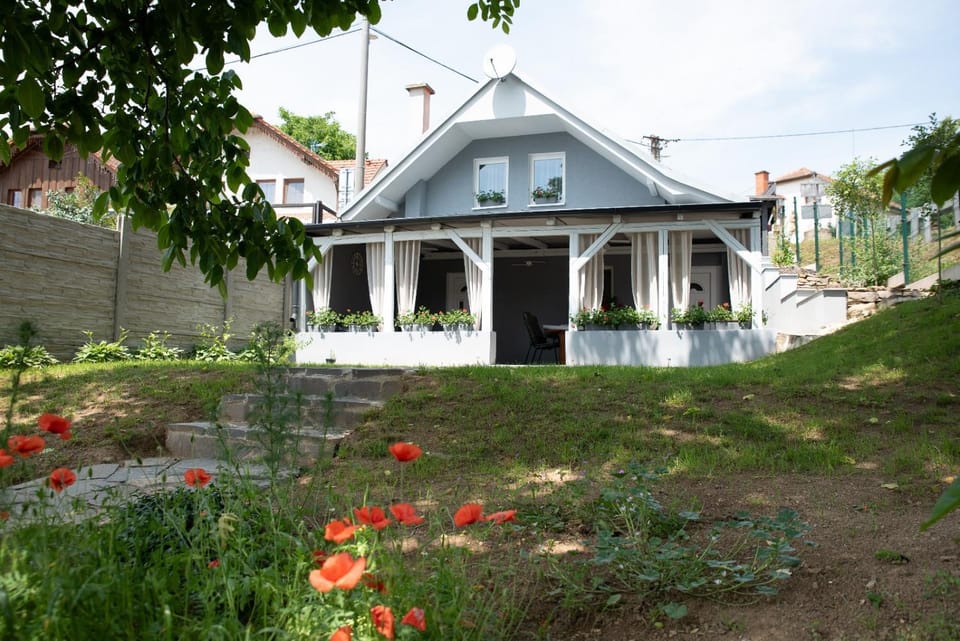 Dyjská 538 House in South Moravian Region