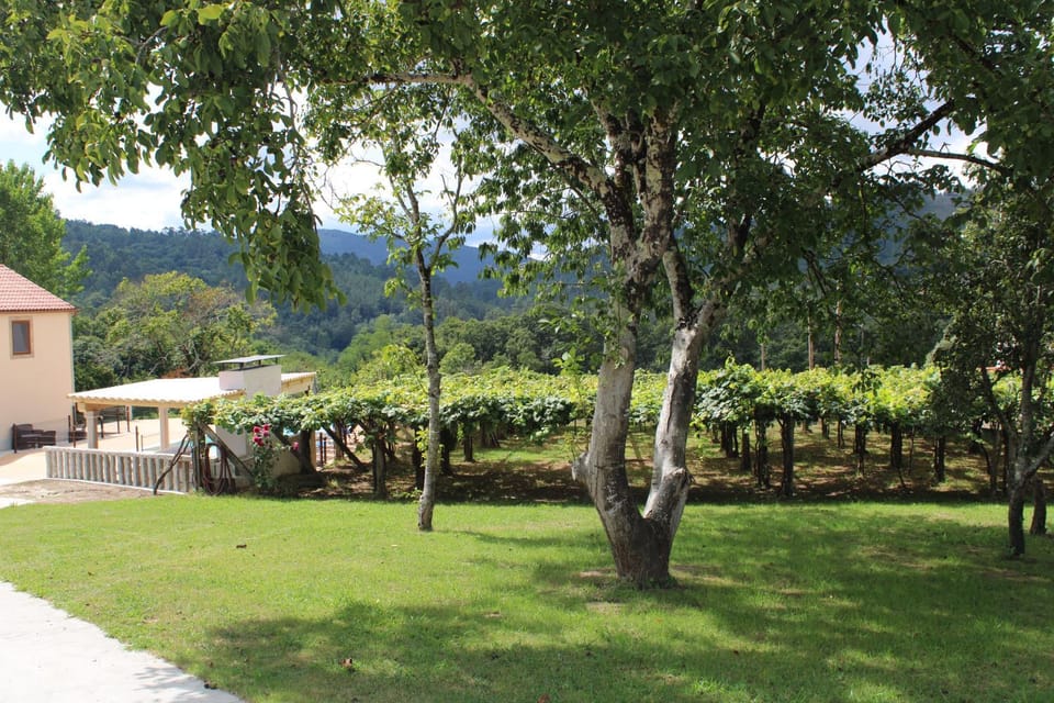 A de Jose Luis House in Galicia