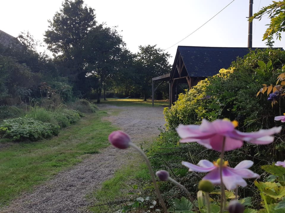 Natural landscape, Garden view