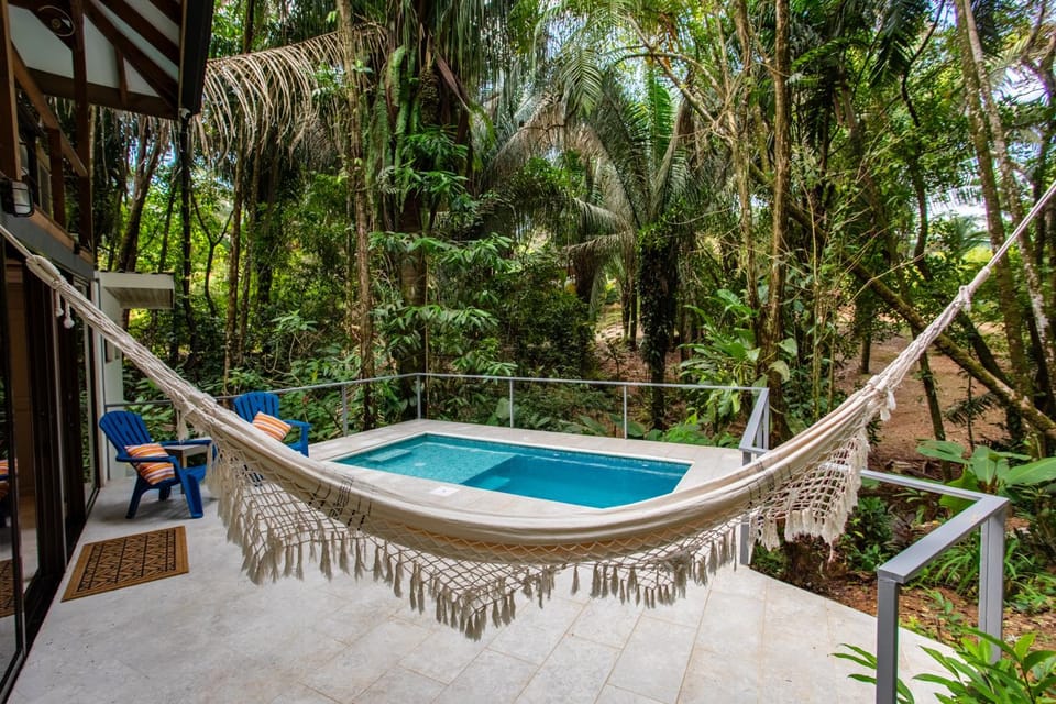 Patio, Garden, Garden view, Pool view, Swimming pool