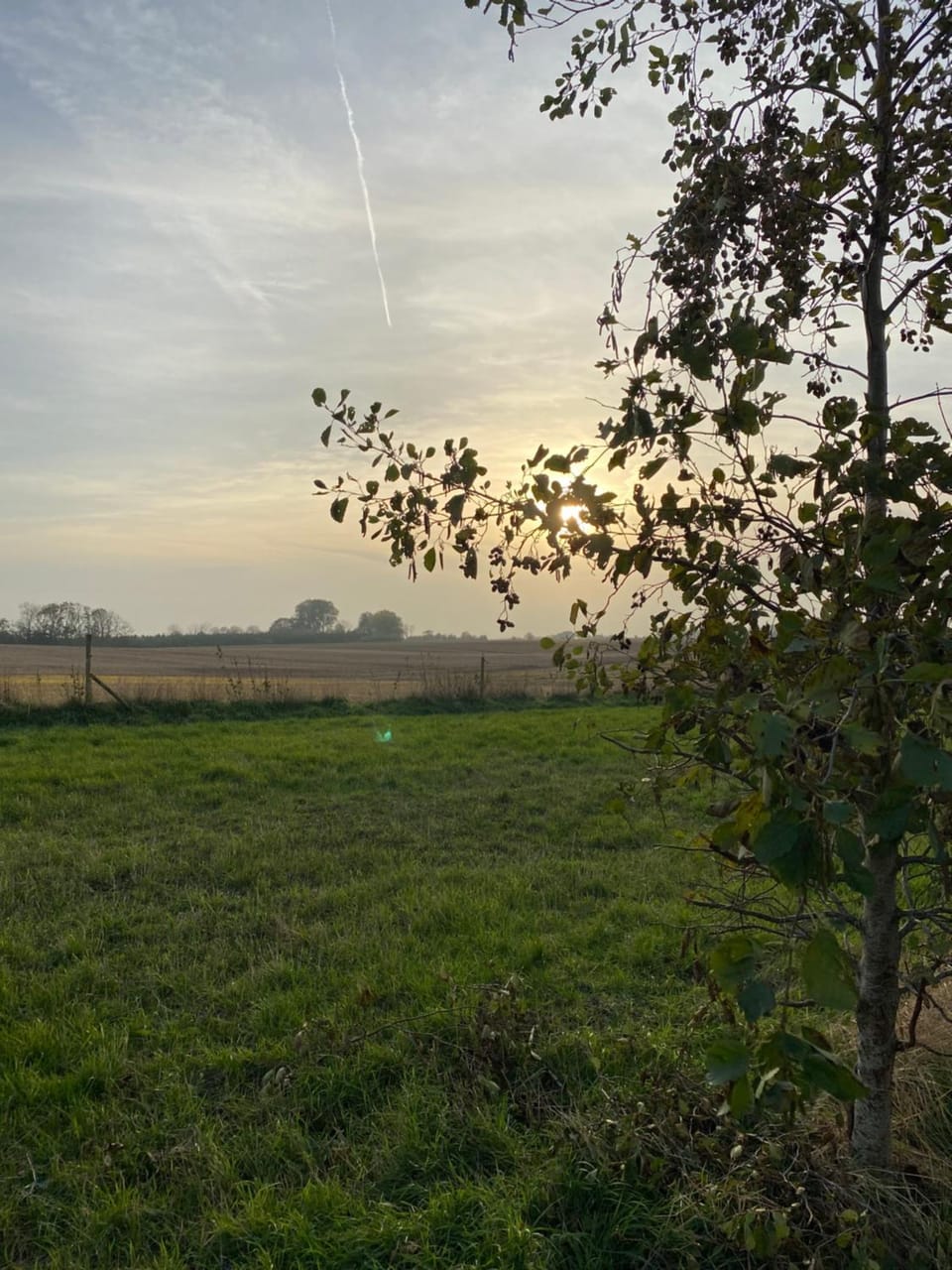 Day, Natural landscape, Autumn