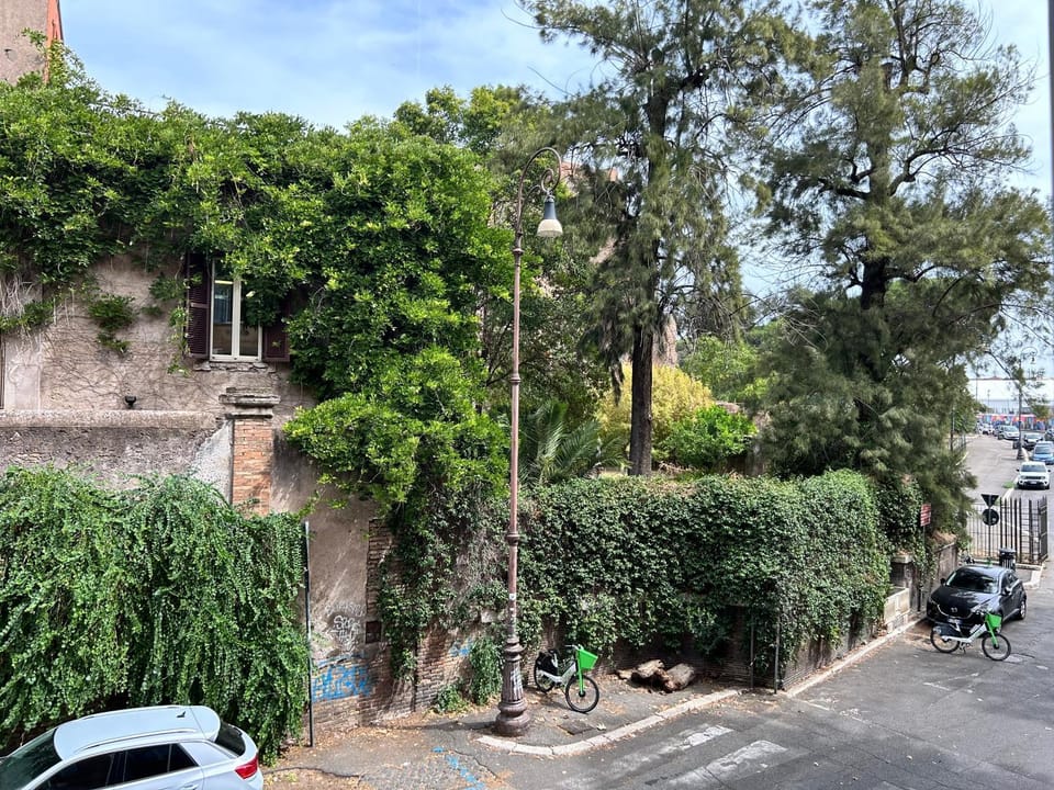 Neighbourhood, Garden, Garden view