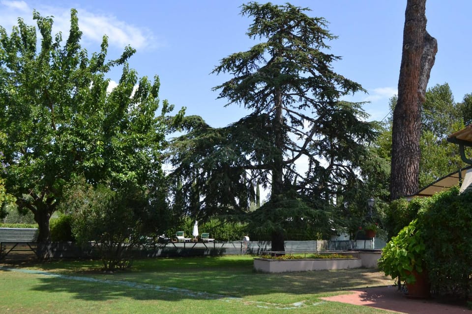 Garden, Garden view