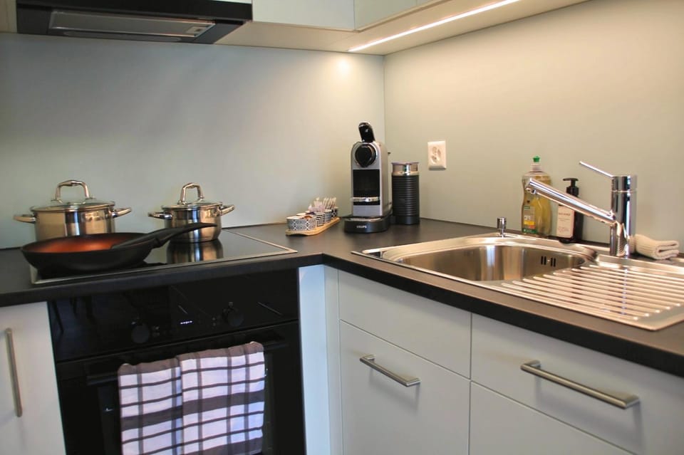 Kitchen or kitchenette, dishwasher, stove
