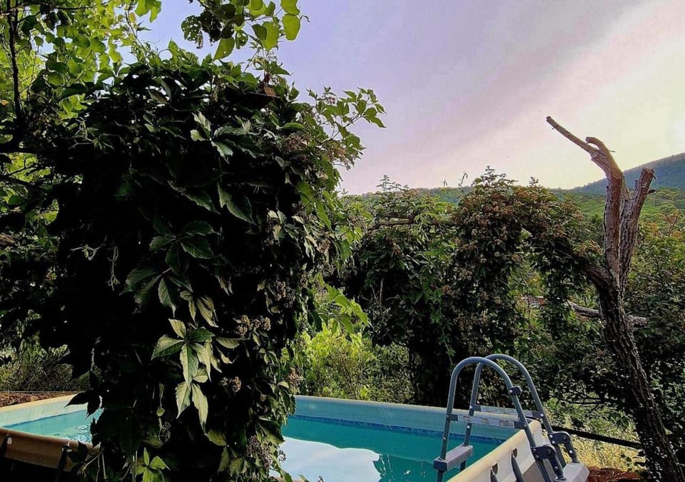 Day, Garden, Garden view, Mountain view, Pool view, Swimming pool