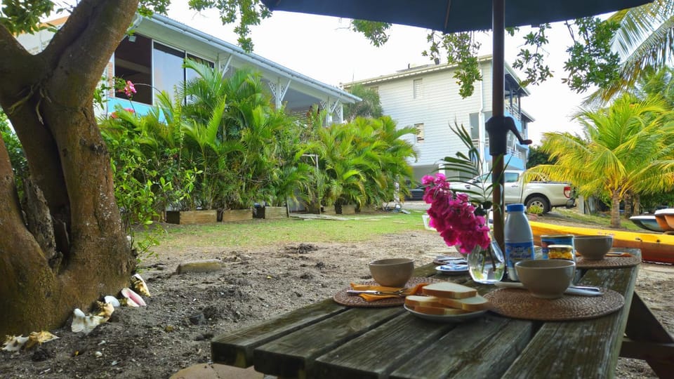 Day, Garden, Coffee/tea facilities, Food and drinks, Dining area, Food, Garden view