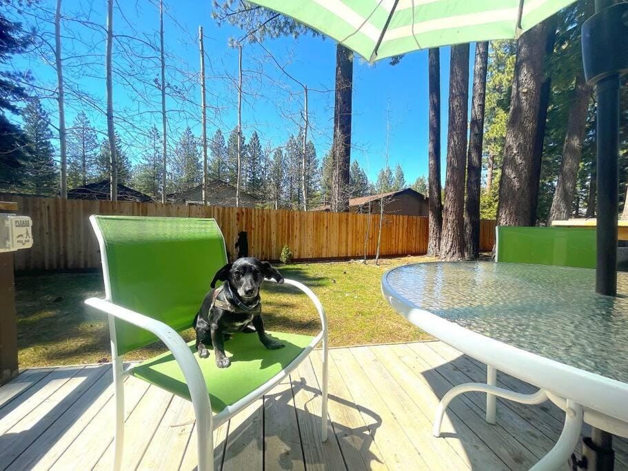 Bear Claw Trails House in South Lake Tahoe