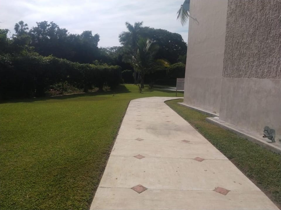 Natural landscape, Garden, Garden view