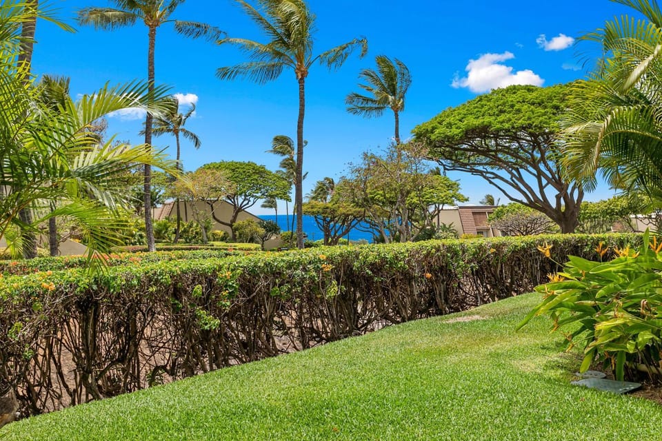 Garden, View (from property/room), Sea view