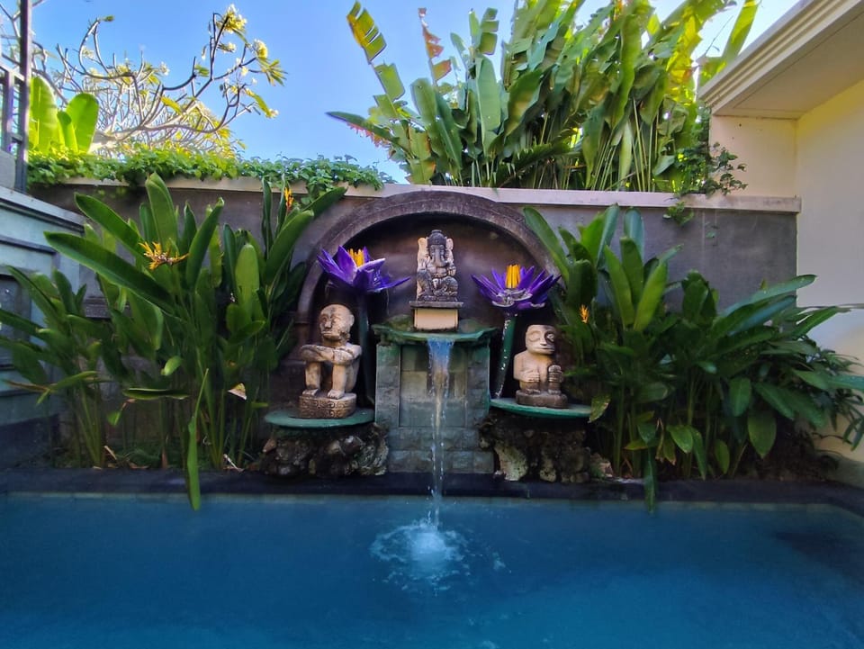 Garden, Pool view, Swimming pool, Swimming pool