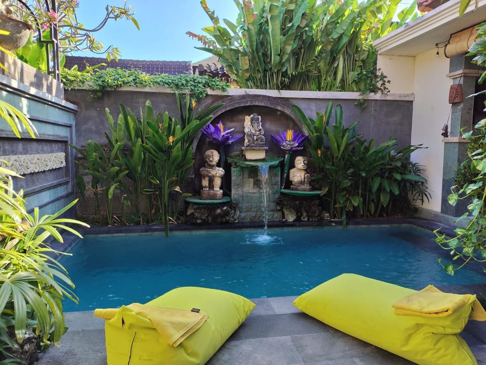 Garden, Swimming pool