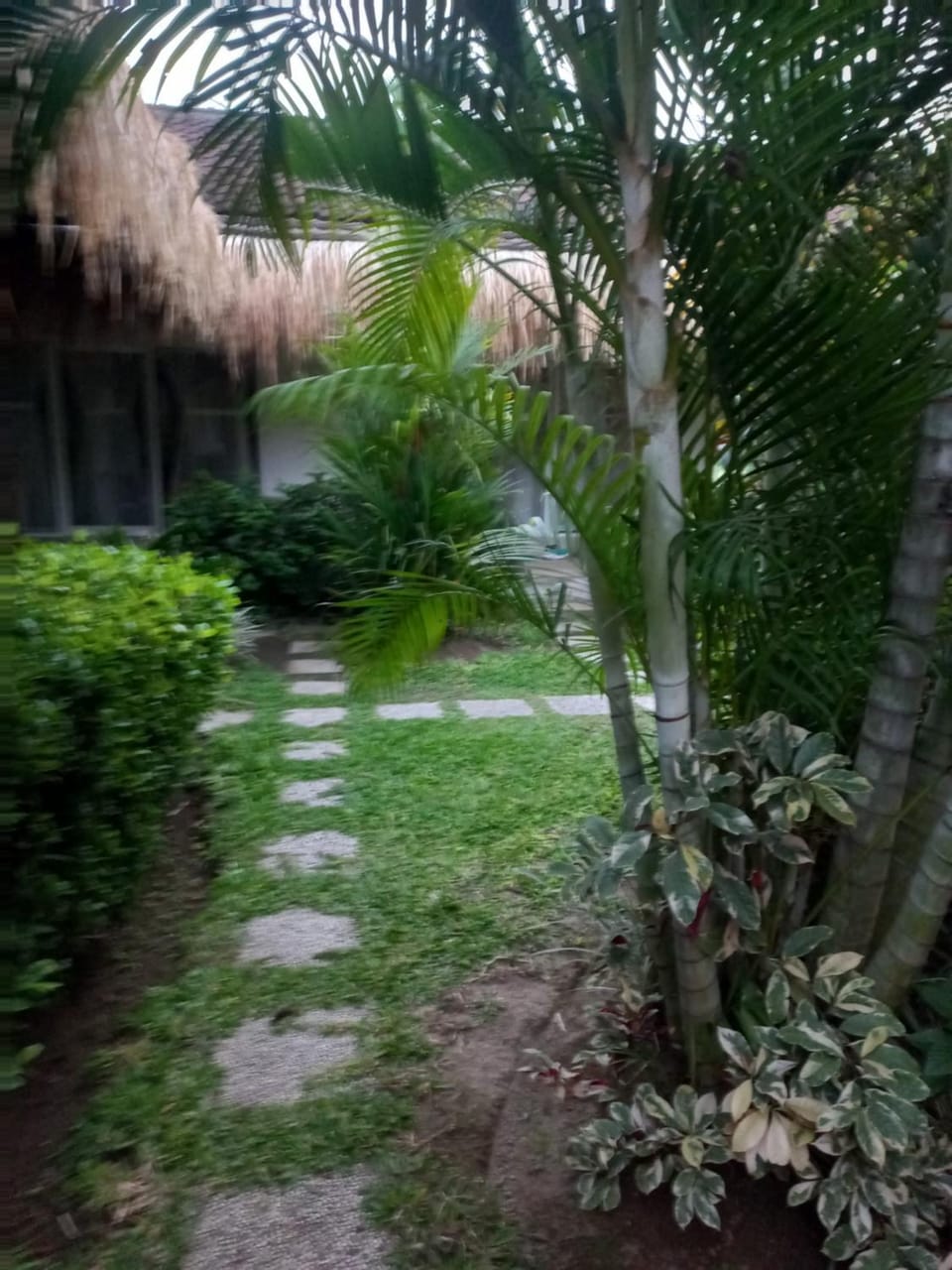ATHAYA GUEST HOUSE canggu Bed and Breakfast in North Kuta