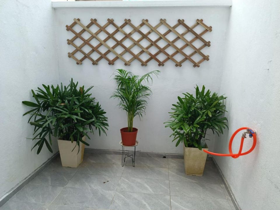 Garden, Garden view
