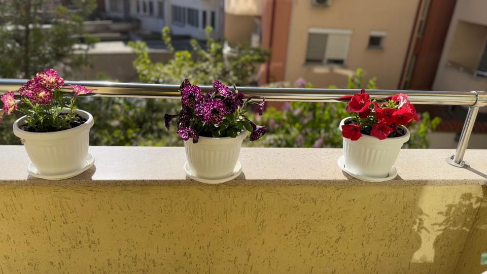 Апартамен за гости Панови Apartment in Plovdiv