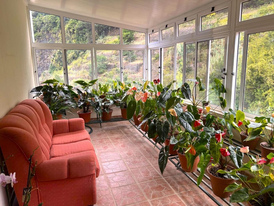 Garden, Seating area