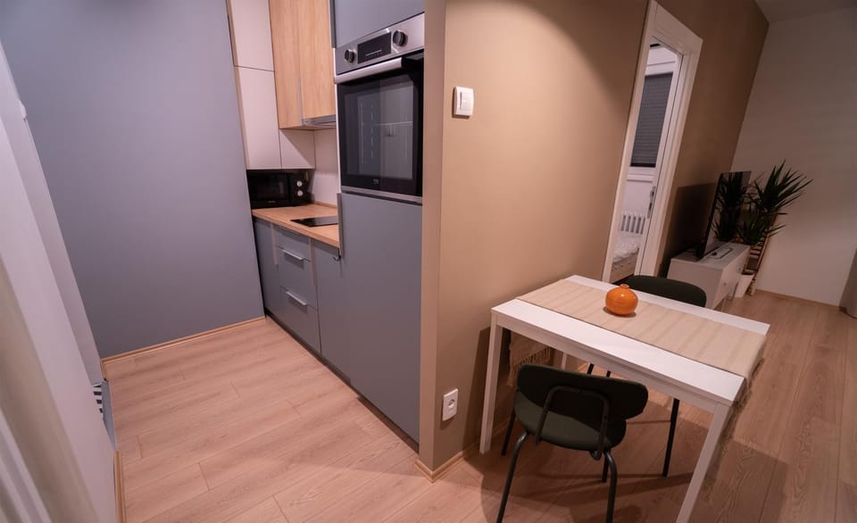 Kitchen or kitchenette, Dining area, oven