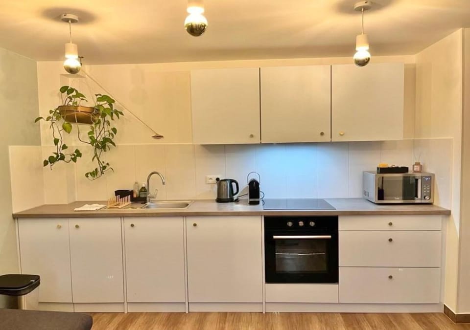 Coffee/tea facilities, Kitchen or kitchenette, stove
