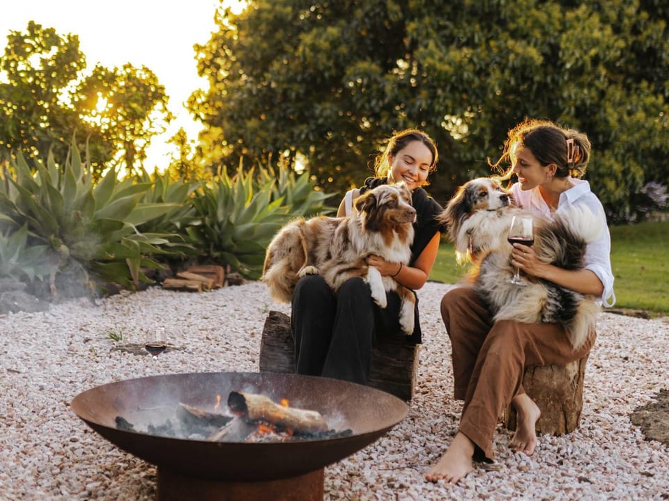 Natural landscape, Garden, Pets