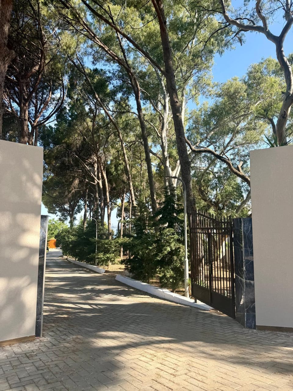 Day, Neighbourhood, Natural landscape