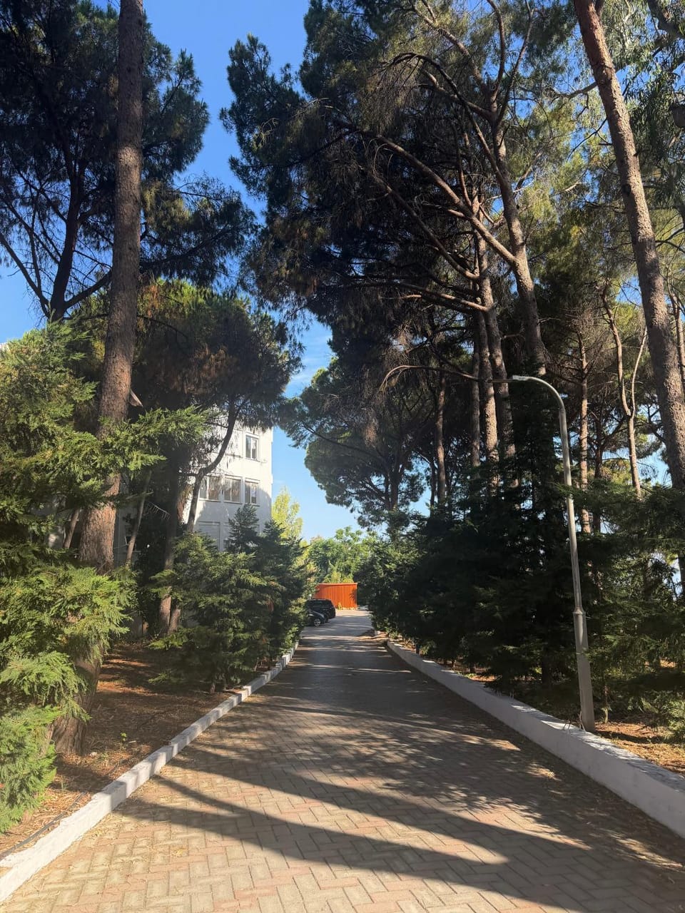Day, Neighbourhood, Natural landscape