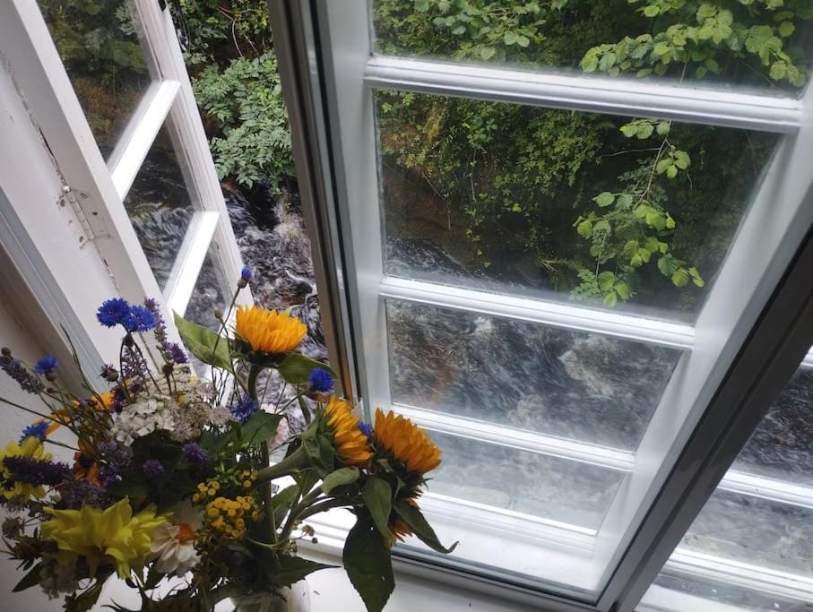 River cottage Dartmoor House in Teignbridge