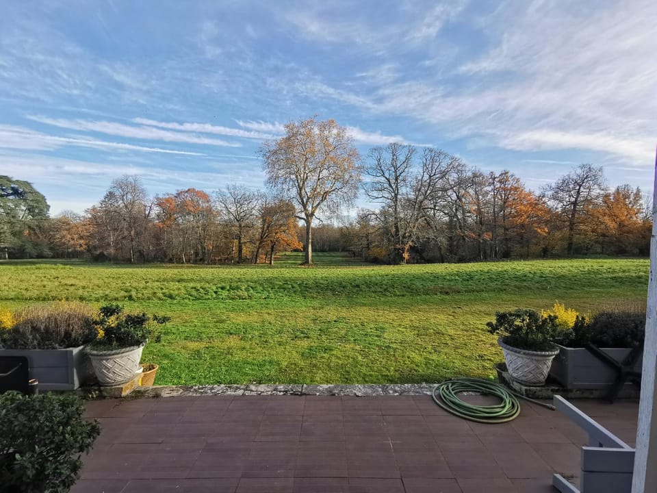 Natural landscape, Garden view