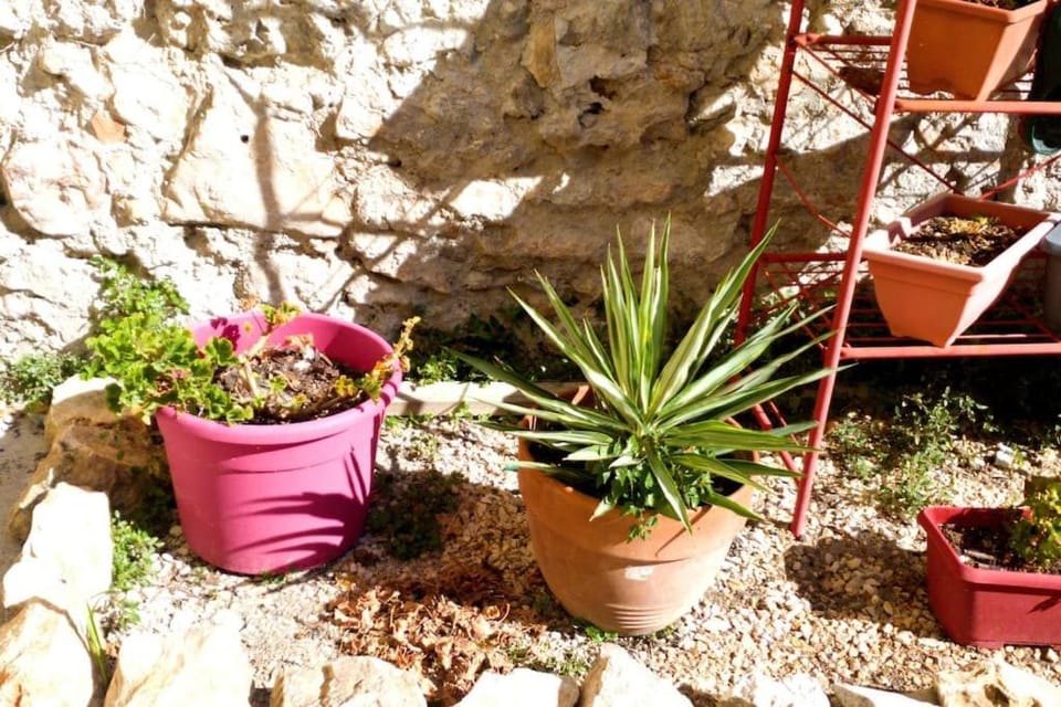 Le Loft Cosy - Centre ville - Cadre Royal Apartment in Occitanie