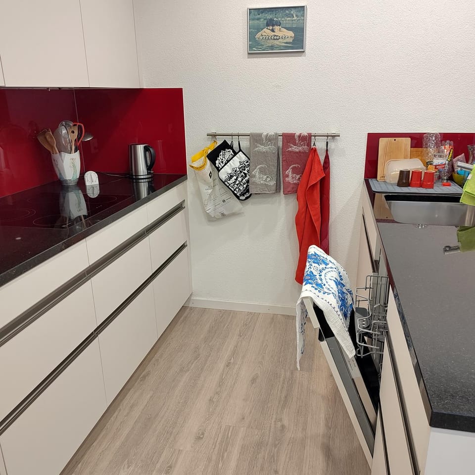 Kitchen or kitchenette, kitchen