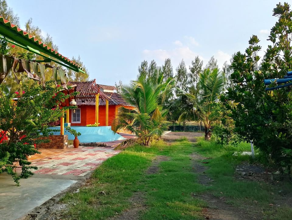 Property building, Day, Natural landscape, Garden, Garden view, Street view